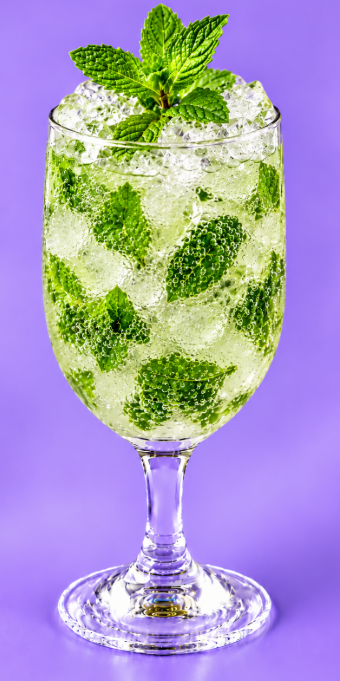 Mint Mojito